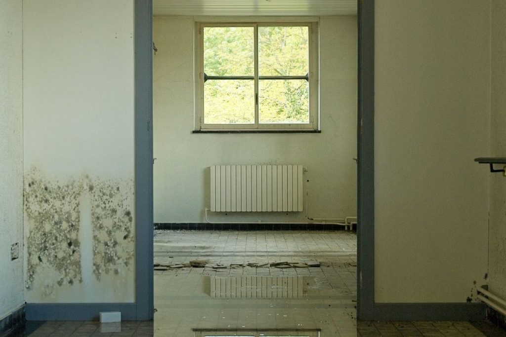 Flood-damaged room with standing water and damp-stained walls awaiting decontamination and structural drying