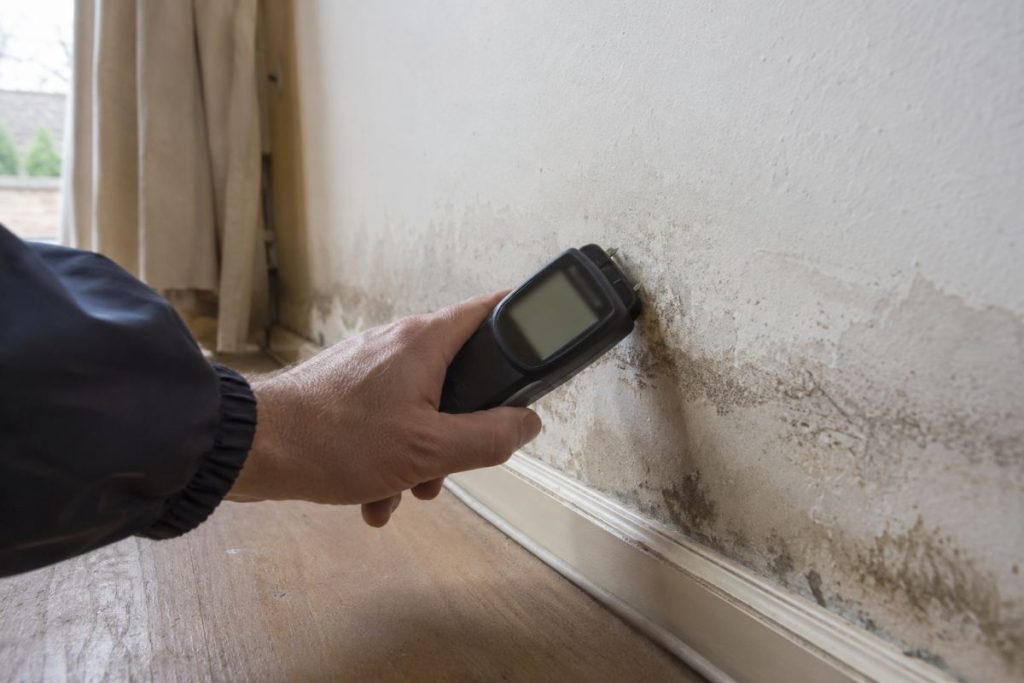 Moisture meter being used to test a damp, water-stained plaster wall during a flood damage survey
